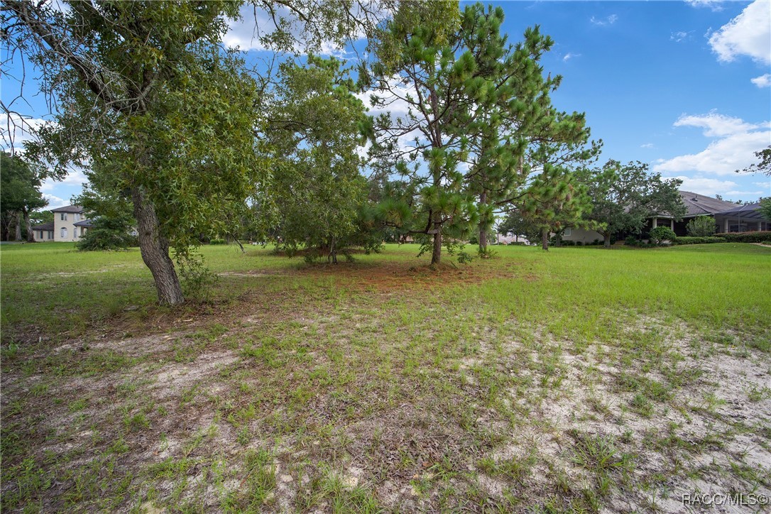 3577 N Pine Valley Loop, Lecanto, Florida image 10