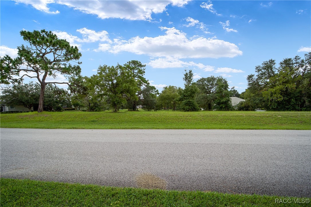 3577 N Pine Valley Loop, Lecanto, Florida image 3