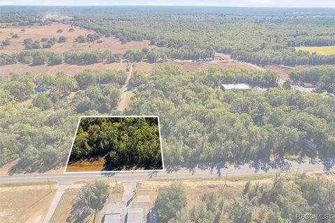 Vacant Land For Sale - 7021 & 7017 N Lecanto Highway<br/> Hernando, FL 34442
