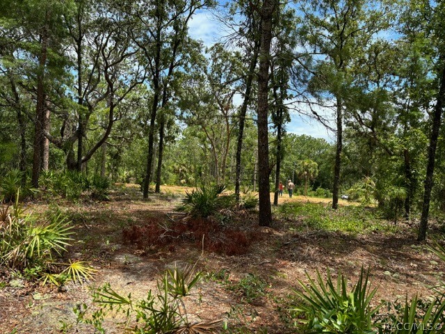 3134 N Holiday Drive, Crystal River, Florida image 8