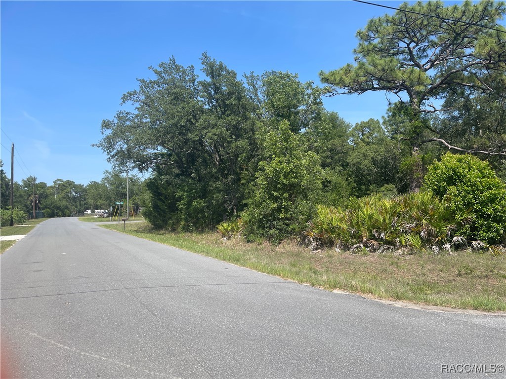 6645 W Erlen Lane, Homosassa, New York image 3