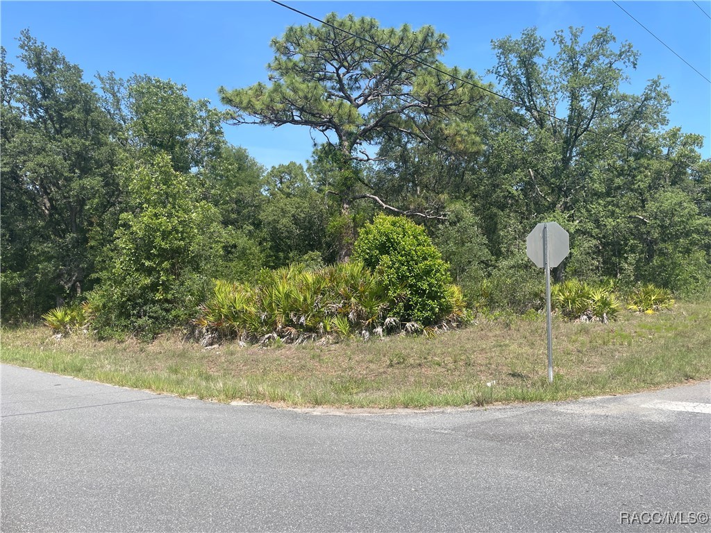 6645 W Erlen Lane, Homosassa, New York image 1