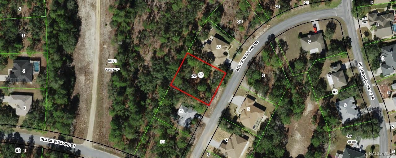6 Black Willow Drive, Homosassa, New York image 1