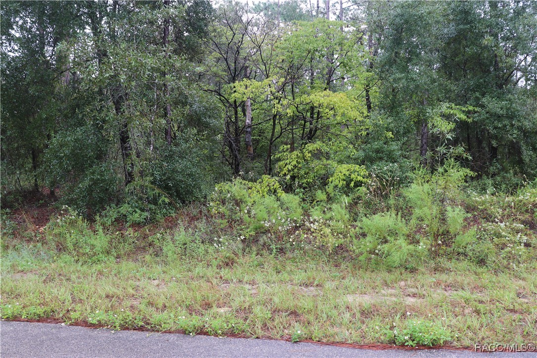 00 NW Beuna Vista Road, Dunnellon, Florida image 4