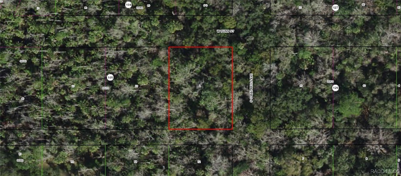 10388 W Dunn Street, Homosassa, Florida image 1
