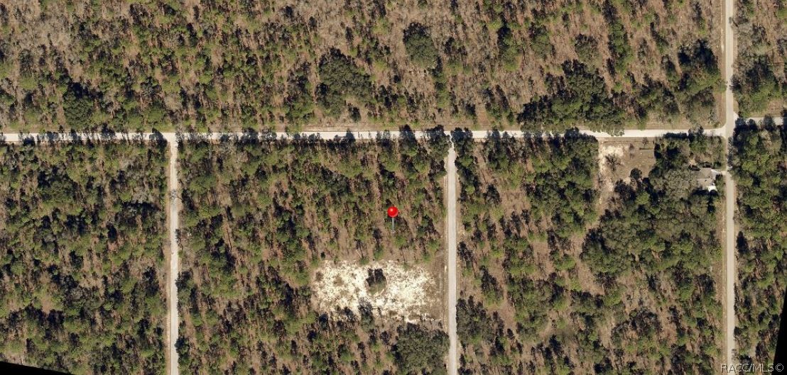 Lot 1 Of Block 15 NW Falcon Avenue, Dunnellon, Florida image 3