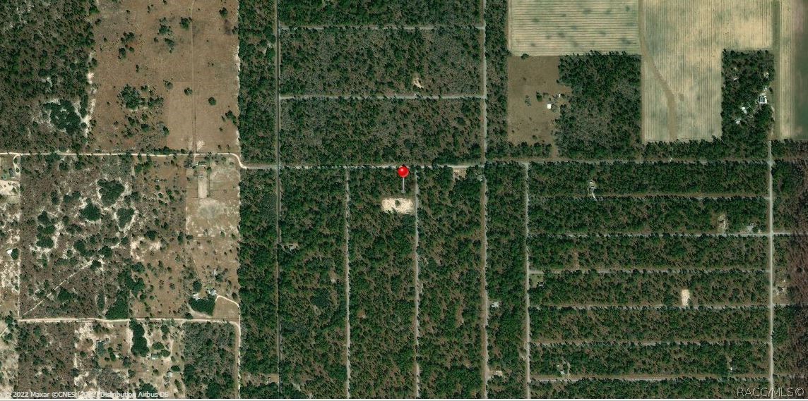 Lot 1 Of Block 15 NW Falcon Avenue, Dunnellon, Florida image 4