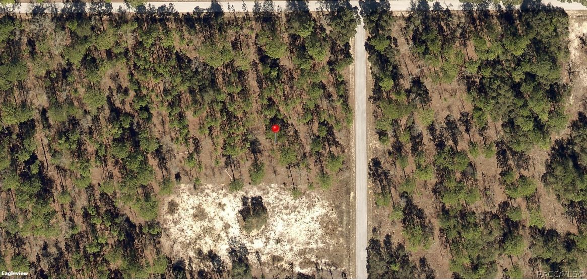 Lot 1 Of Block 15 NW Falcon Avenue, Dunnellon, Florida image 1