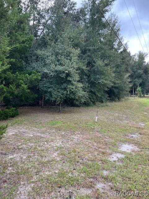 00 SW 131st Terrace, Dunnellon, Florida image 3