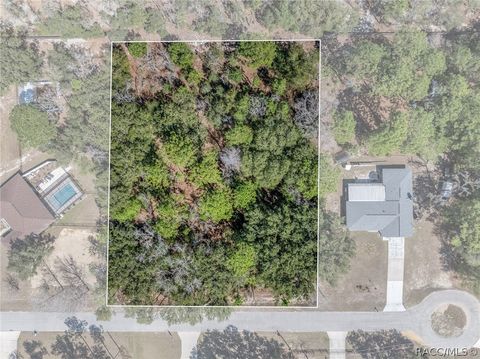Vacant Land For Sale - 4423 N Lena Drive<br/> Citrus County, Beverly Hills, FL 34465