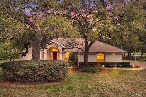 197 E Joplin Court Hernando FL 34442