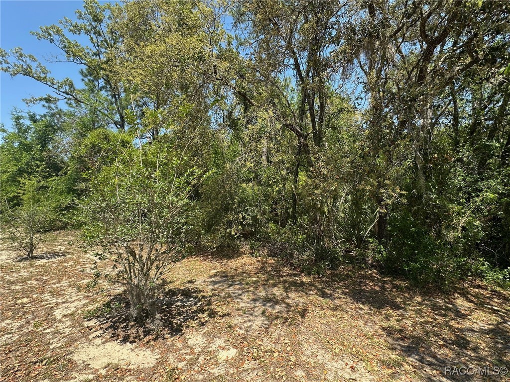 9603 N Bonita Circle, Dunnellon, Florida image 34
