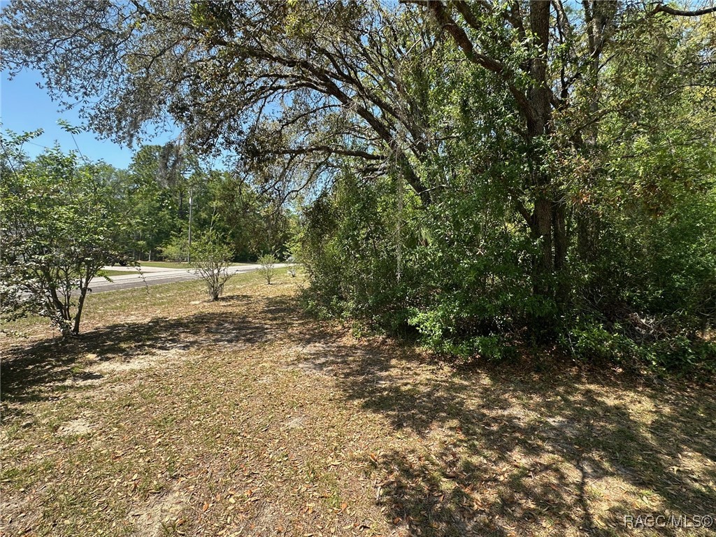 9603 N Bonita Circle, Dunnellon, Florida image 31