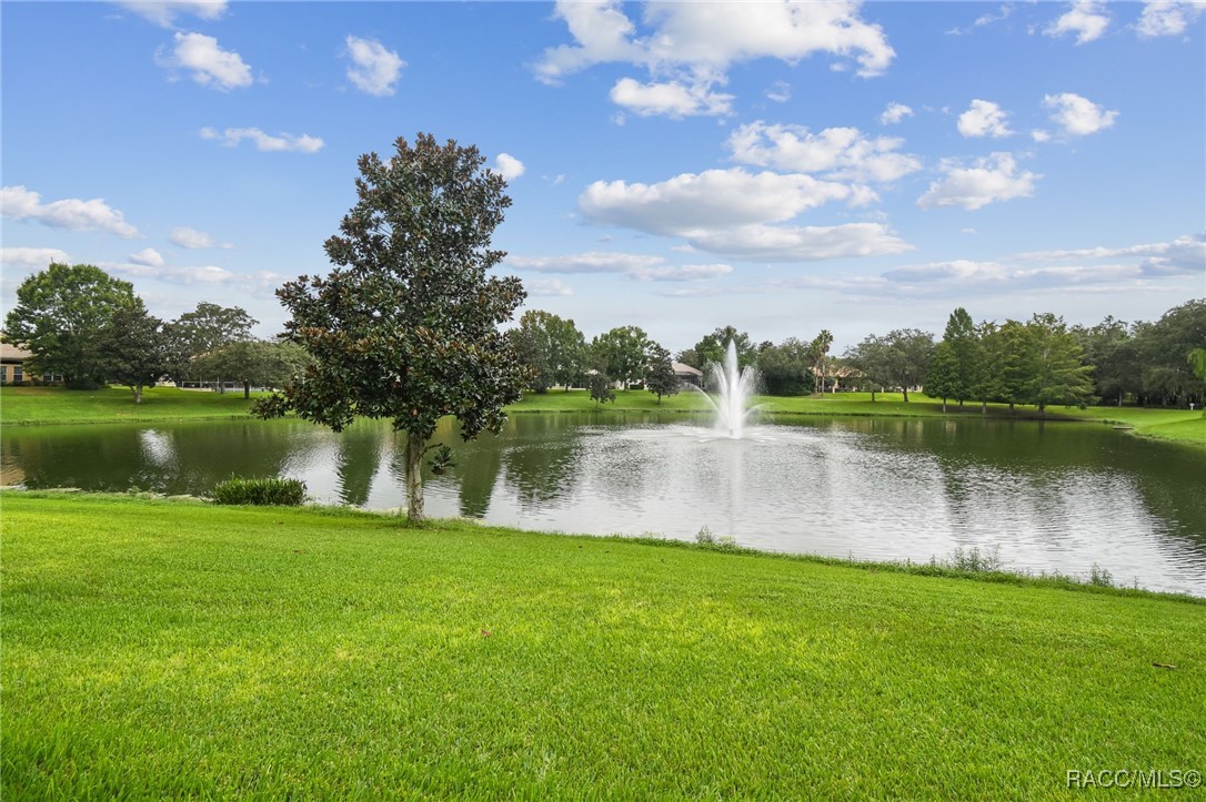 1049 W Lake Valley Court