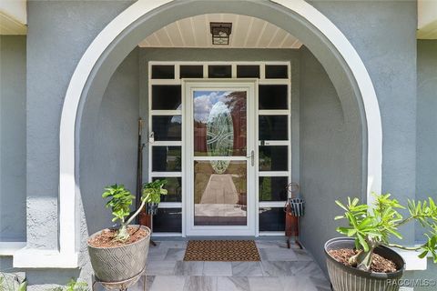 1331 W Anson Place Citrus Springs FL 34434