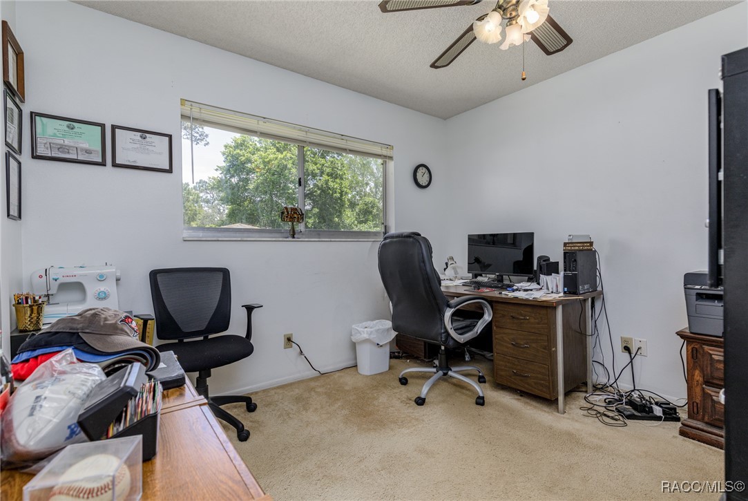 5078 Kenmore Street, Spring Hill, Florida image 16