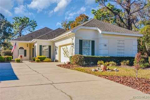 A home in Homosassa