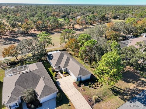 A home in Homosassa