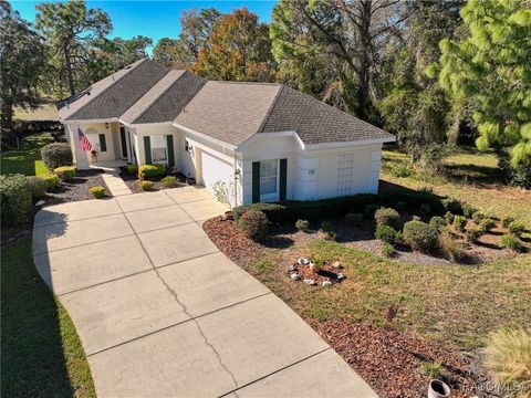 A home in Homosassa