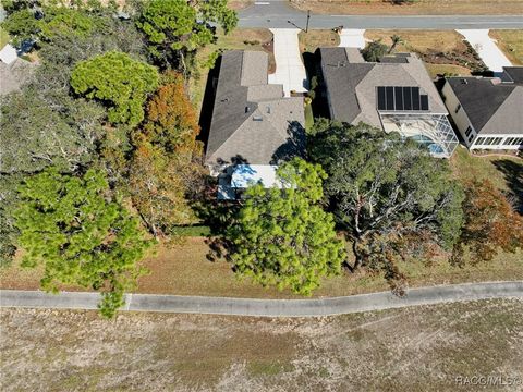 A home in Homosassa