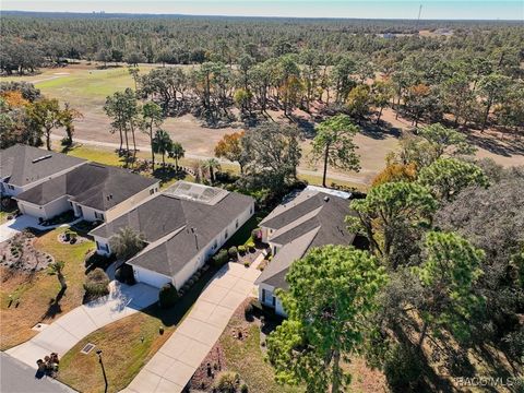 A home in Homosassa