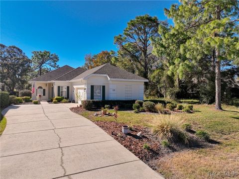 A home in Homosassa