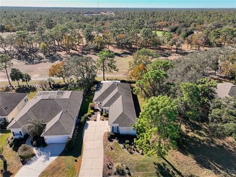 A home in Homosassa