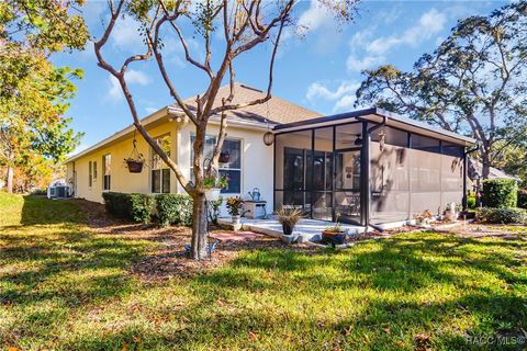 A home in Homosassa