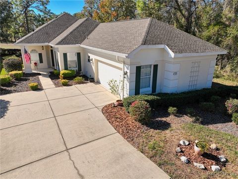 A home in Homosassa