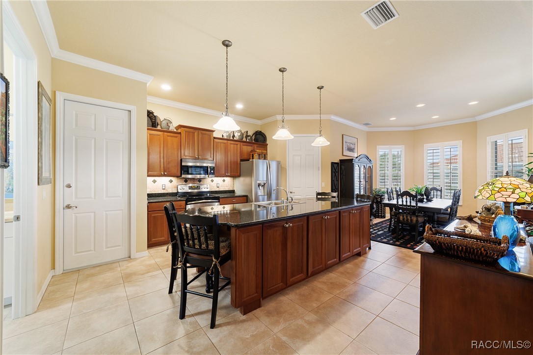 5182 S Mystic Point, Homosassa, Florida image 20