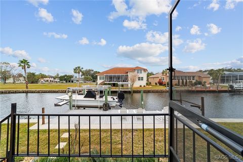 A home in Homosassa