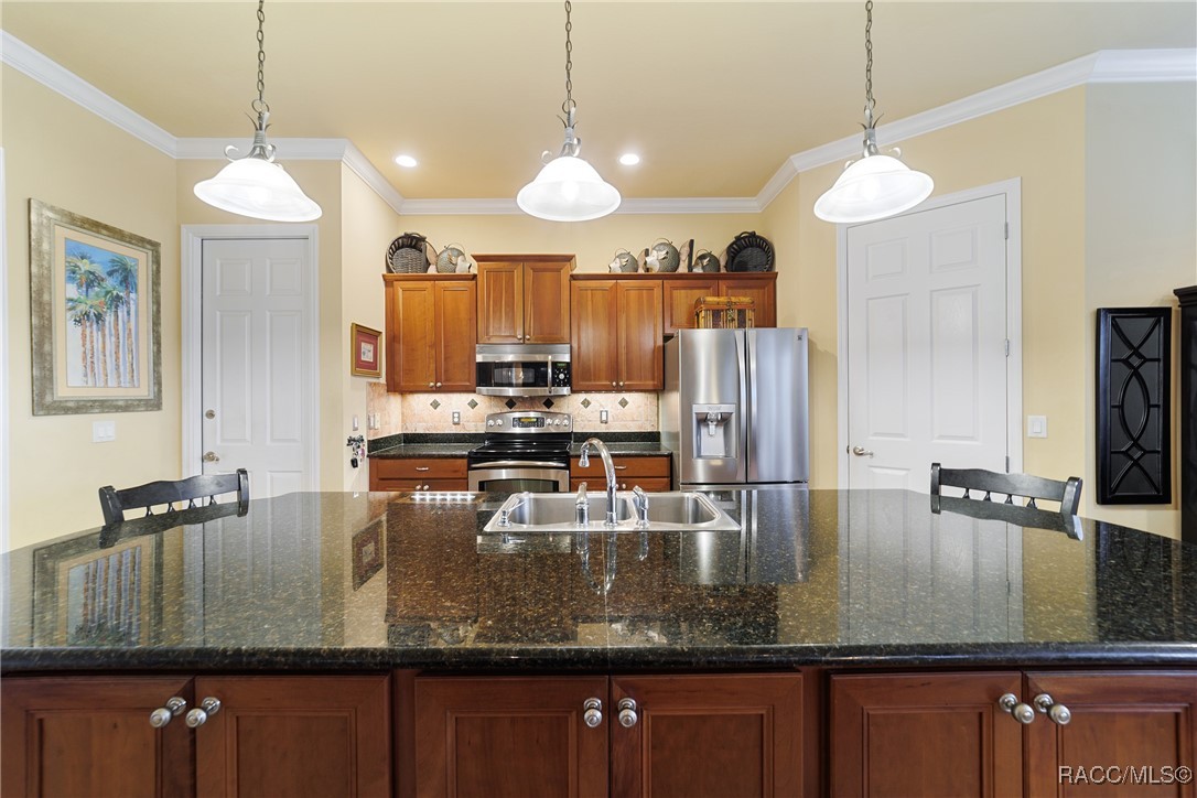 5182 S Mystic Point, Homosassa, Florida image 23
