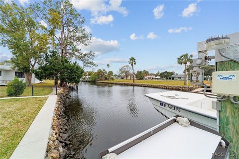 A home in Homosassa