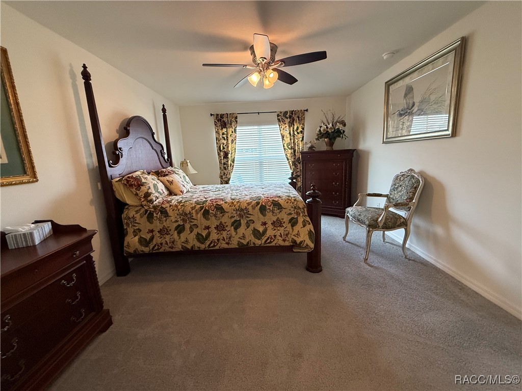 449 W Fairways View Drive, Beverly Hills, Florida image 11