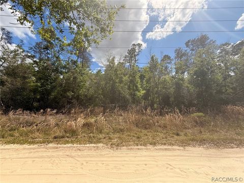 Vacant Land For Sale - 2907 Clearwood Street<br/> Inverness, FL 34452