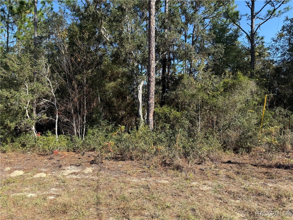 Photo 1 of 2 — 11089 N Frantz Avenue, Citrus Springs, FL 34434