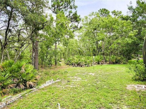 A home in Homosassa