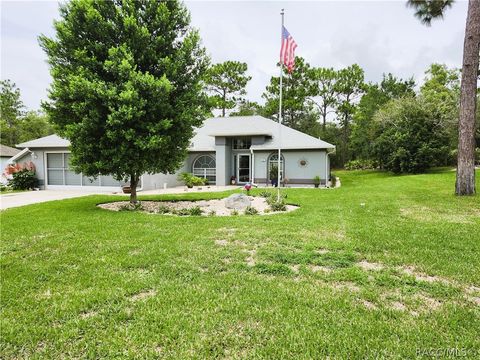 A home in Homosassa