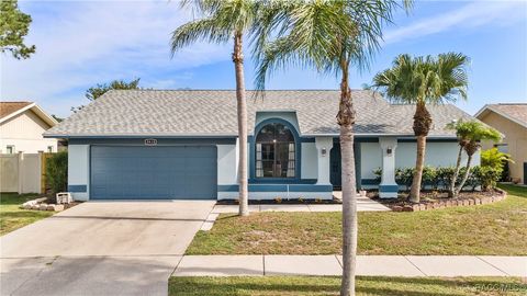 8638 Chadwick Drive Tampa FL 33635