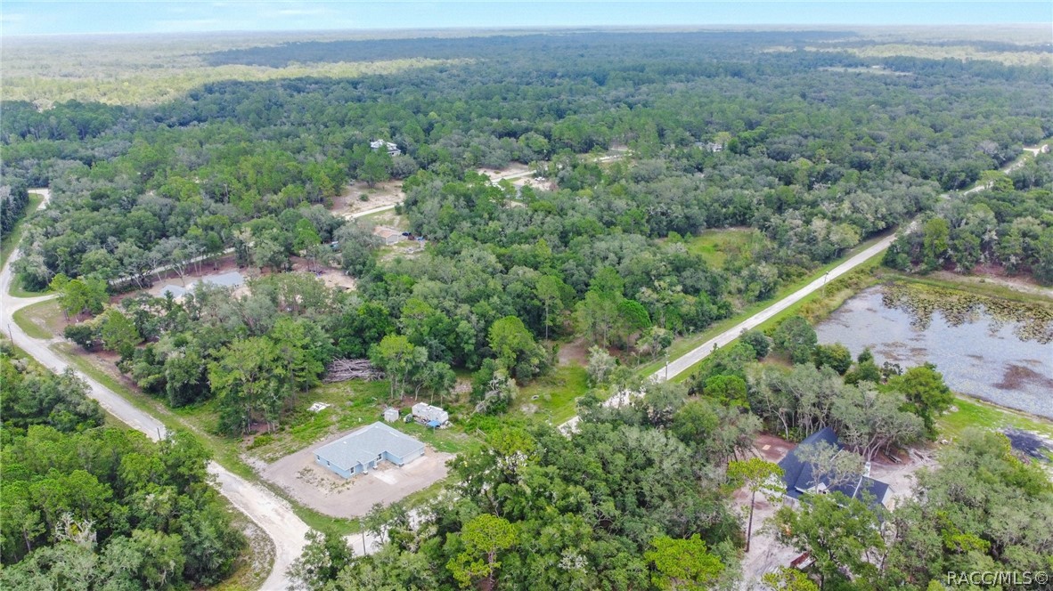 33455 Berryhill Drive, Webster, Florida image 8