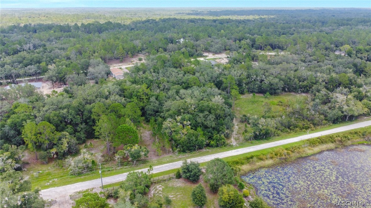 33455 Berryhill Drive, Webster, Florida image 9