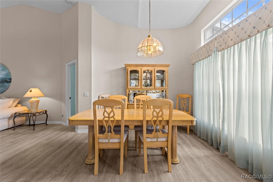158 N Skyflower Point, Lecanto, New York image 13
