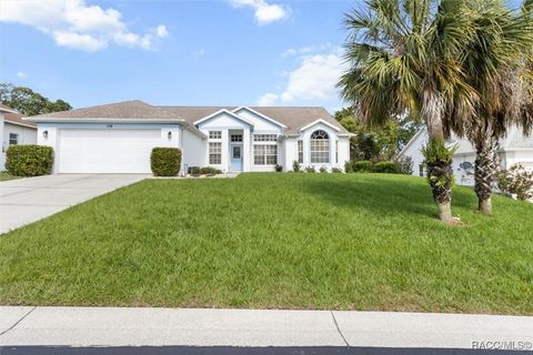 158 N Skyflower Point Lecanto FL 34461