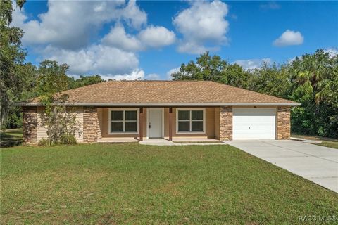 737 S Gospel Oaks Terrace Inverness FL 34450