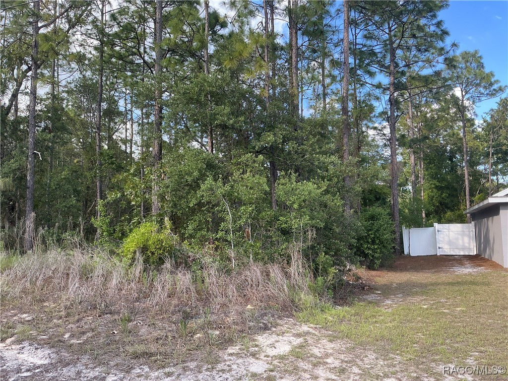9501 N Akola Way, Citrus Springs, New York image 4