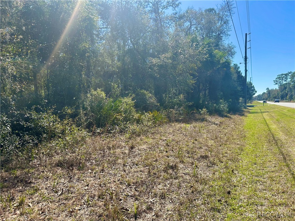 10710 W Dunnellon Road, Crystal River, Florida image 1