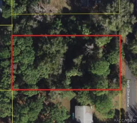 Slider Thumb