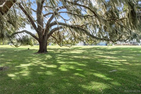 A home in Hernando