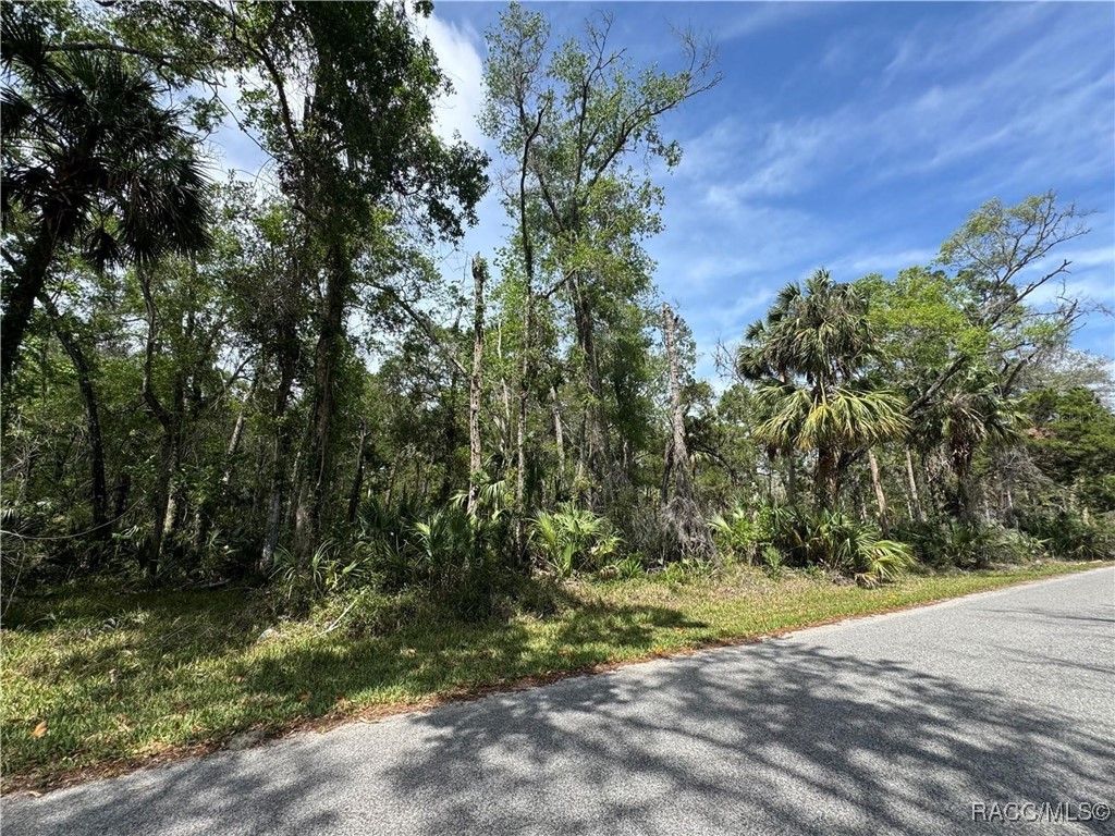 11905 W Eldred Lane #1, Homosassa, Florida image 1