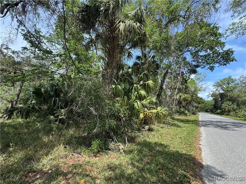 11905 W Eldred Lane #1, Homosassa, Florida image 2